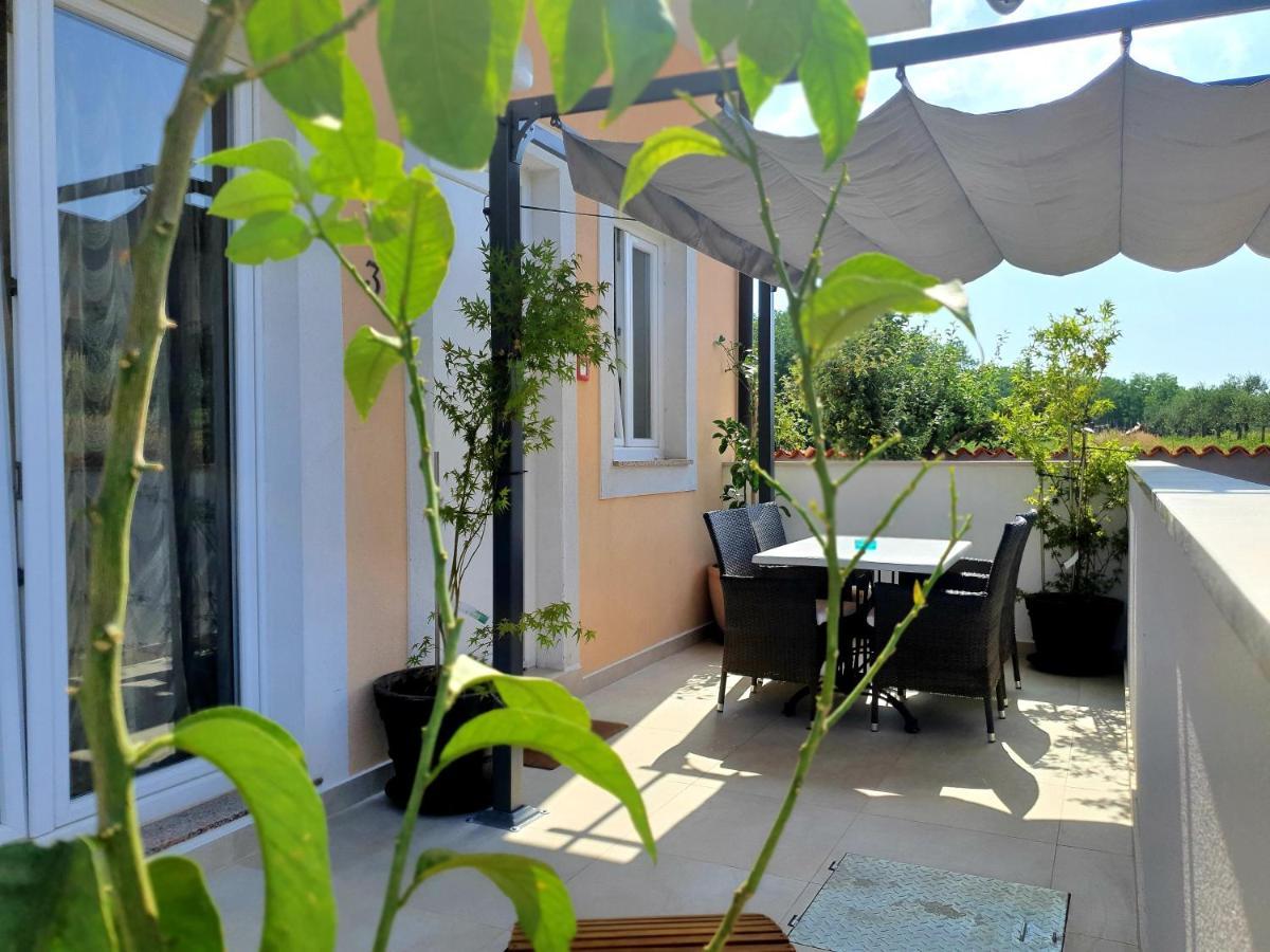 Villa Ancora Savudrija Exterior photo